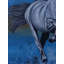 Le cheval qui court | Acrylique sur toile | Par Kashiram Kharde