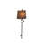 Theresa Sconce - Gold-27527625
