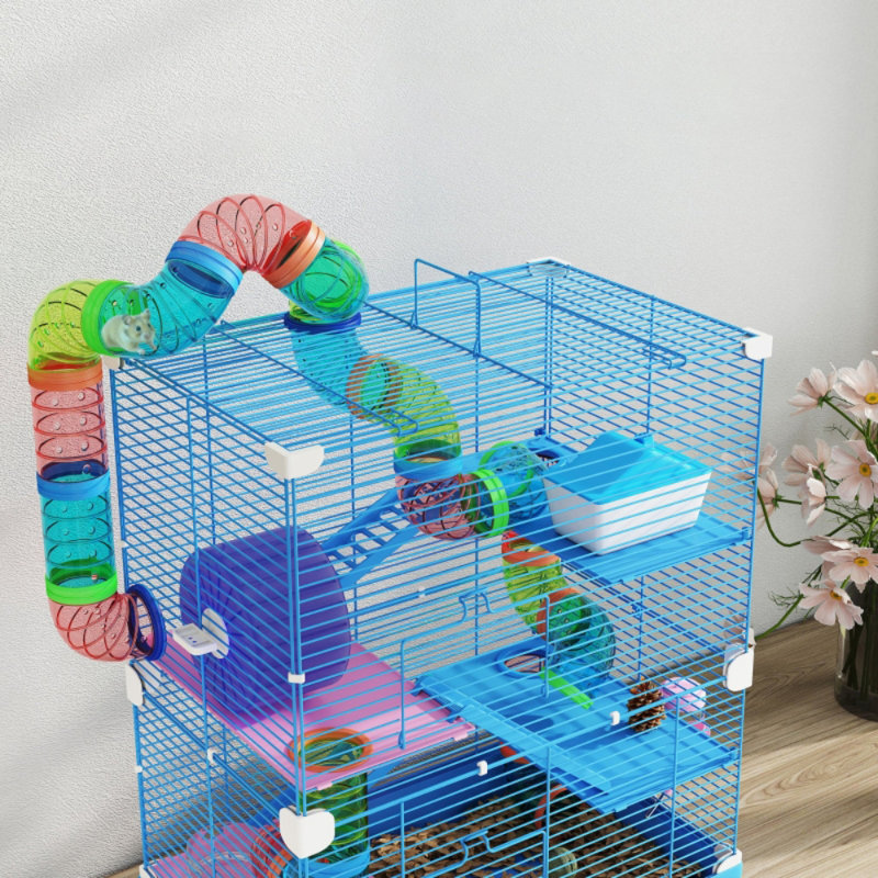 Small Animal