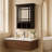 Cardonas Removable Mirrored Framed Door Medicine Cabinet with Adjustable Shelves and Open Storage-457905023
