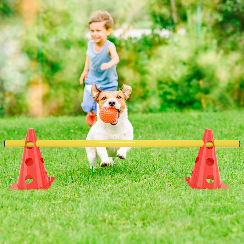 Agility Equipment Set 12 Cones and 6 Bars Jump Training Kit with Carry Bag Coordination Training Adjustable Height Obstacles Agility Hurdles for Children Dogs