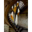 Xavier Clarisse Medium Embossed Leather Pendant Light-71642045-71913184