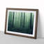 Dazzling Forest - Framed Print-1260464159-1260462849