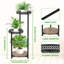 Betzabeth Plant Stand