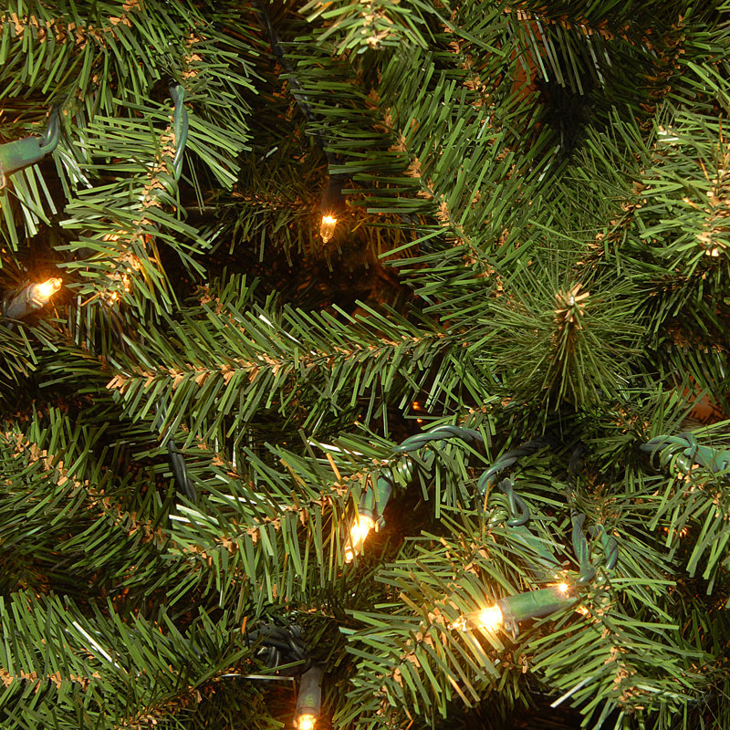 Aspen Spruce Tree with Clear Lights, 6' H
