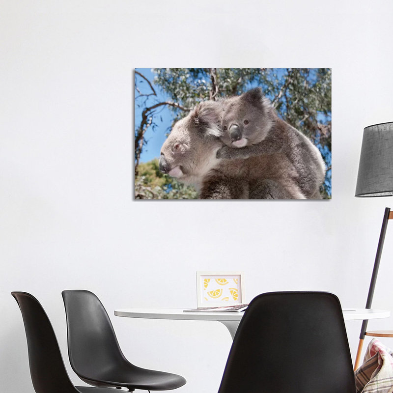 Koala Mother Carrying Young In Gum Tree Forest, Victoria, Australia by Tui De Roy - Wrapped Canvas Gallery-Wrapped Canvas Giclée