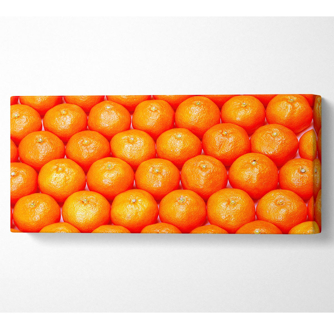 Orange Galour Panoramaleinwand