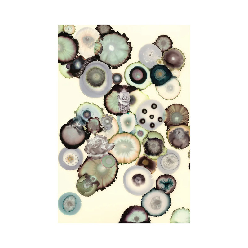 Daltonien par Laura Van Horne - Estampe numérique sur toile tendue avec châssis, H 60 po x l 40po x P 1,5 po