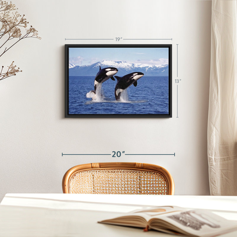 " Jumping Couple Orcas Wall Art ", 13" H x 19" W