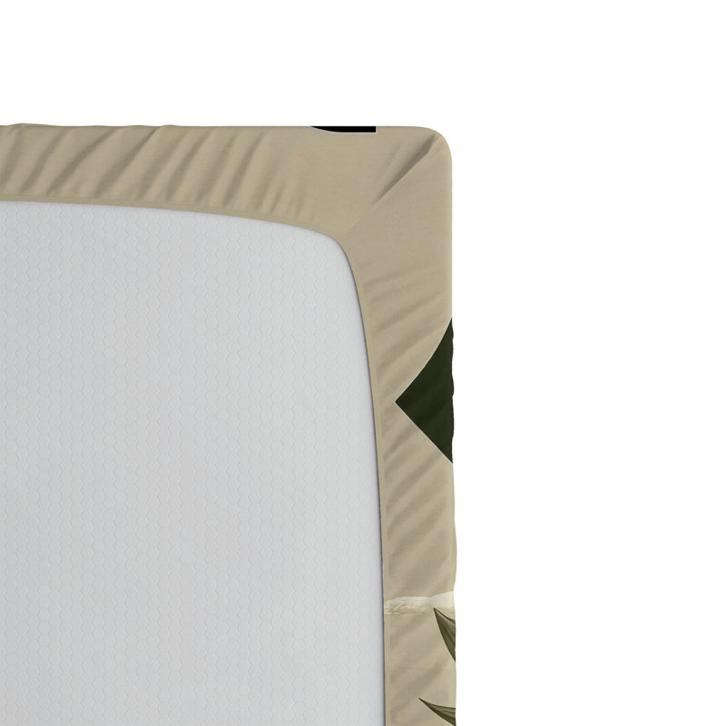 Drap-housse Ambesonne, Drap-housse simple TG