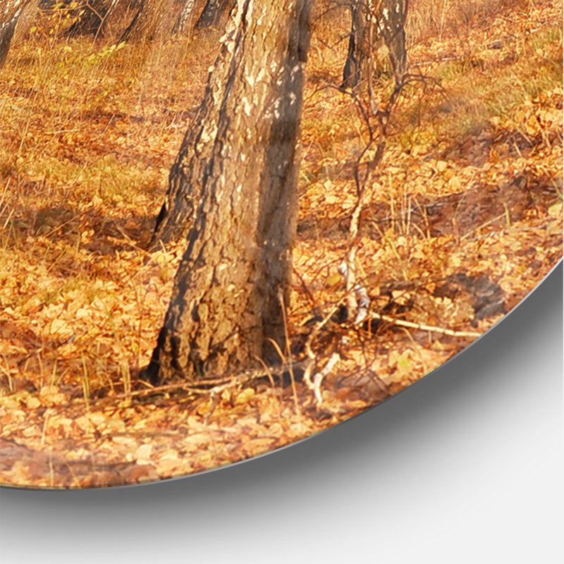 Horloge murale Dense Birch Forest in the Fall, Moyen
