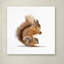 Armand «Squirrel», reproduction sur toile-21647114