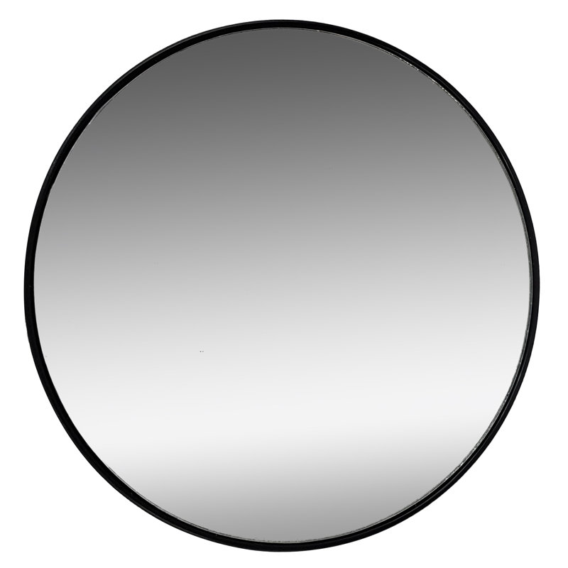 Alexaundria Magnifying Suction Mirror