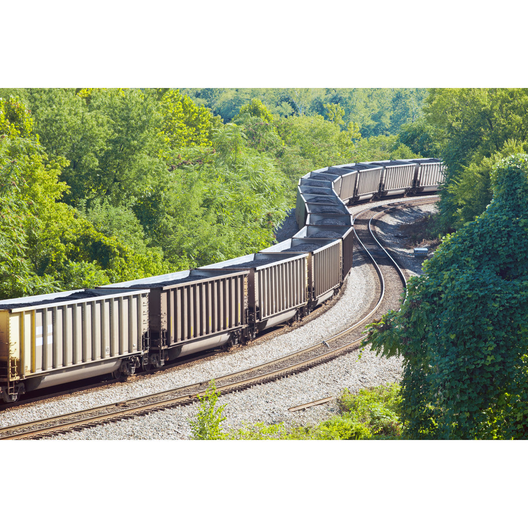 Coal Train In Nature von Traveler - Leinwandbilder