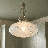 Willow 1-Light Pendant in Brass-756342830