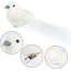 Cardinals Ornaments-1900983608