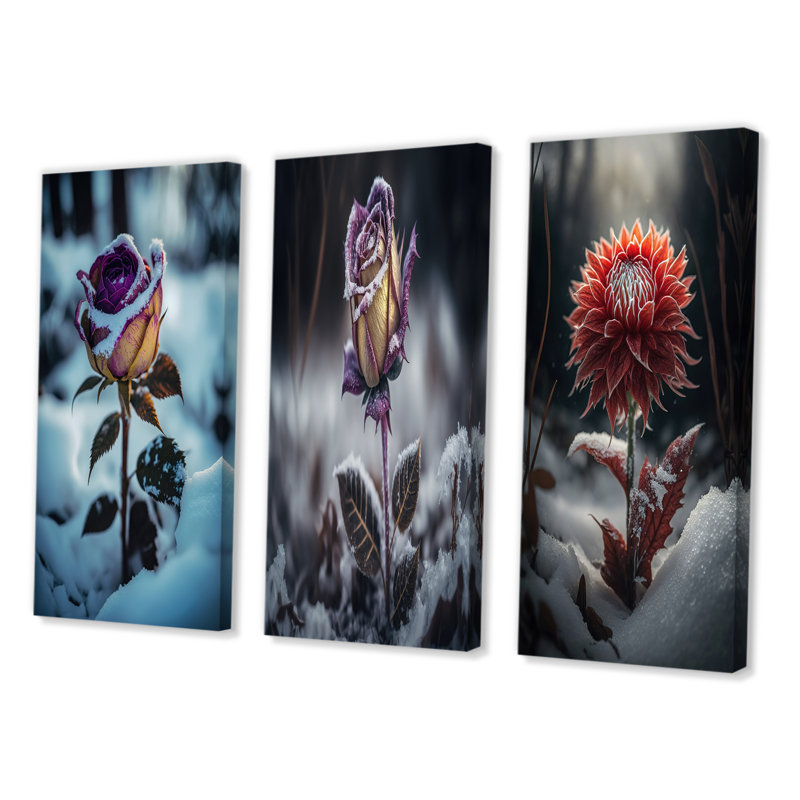 «A Blooming Purple Rose Flower In Winter», 3 pièces sur toile, Toile tendue, H 20 po x l 36 po