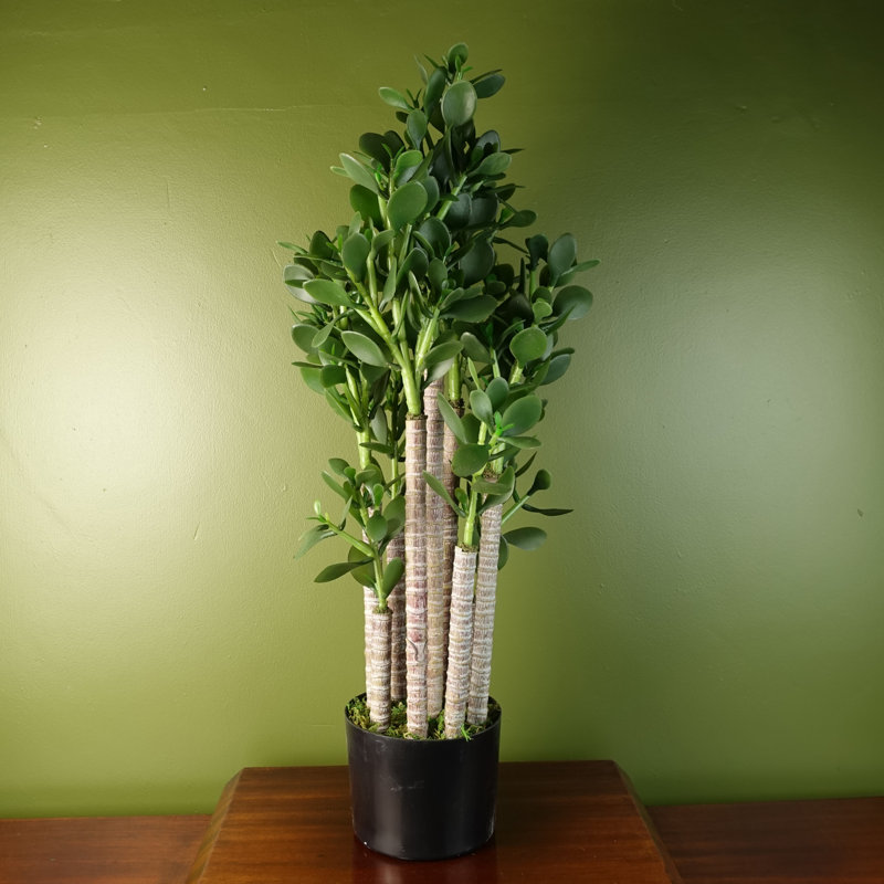 75cm Faux Evergreen Plant in Pot Liner