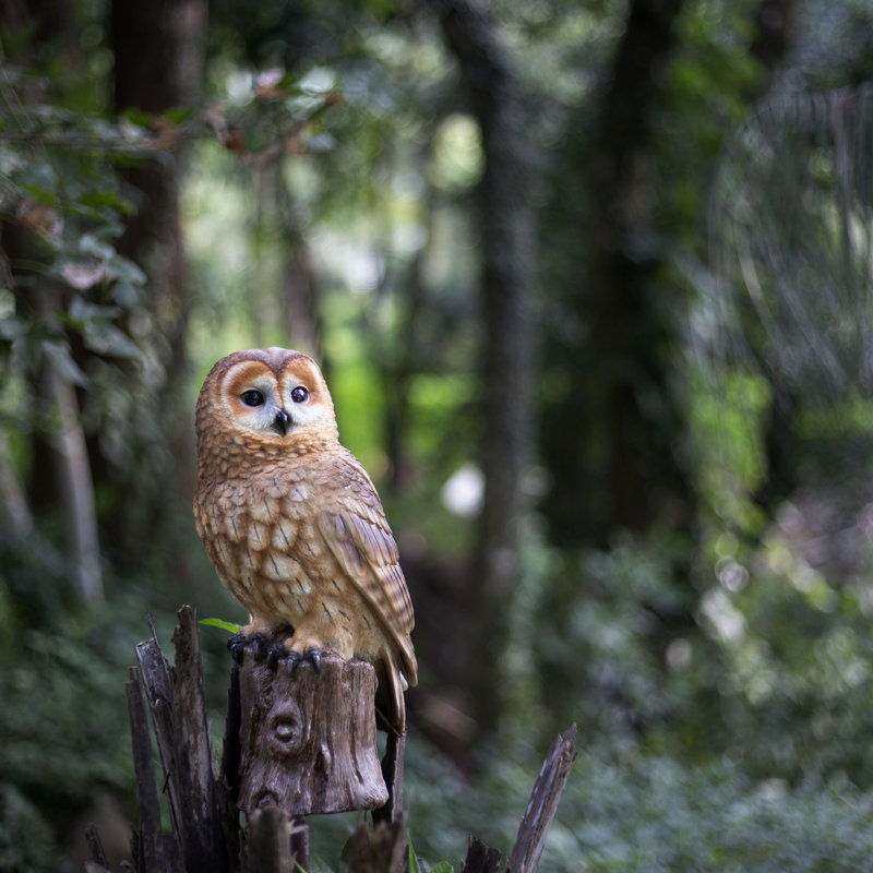 Brown Owl on branch | Handcrafted Decorative Bird Statue for Home & Garden | Premium Polyresin, Weather-Resistant Indoor/Outdoor Decor