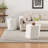 COFFEE TABLE SET