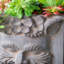 Pot de fleurs statue de dieu grec 11 "x 13" x 22 "avec pieds