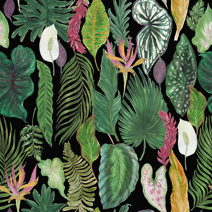 Selevae Matte Mural, 250 x 250cm