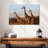 Brampt Three Brown Giraffes-107845539