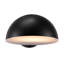 Outdoor Sconce