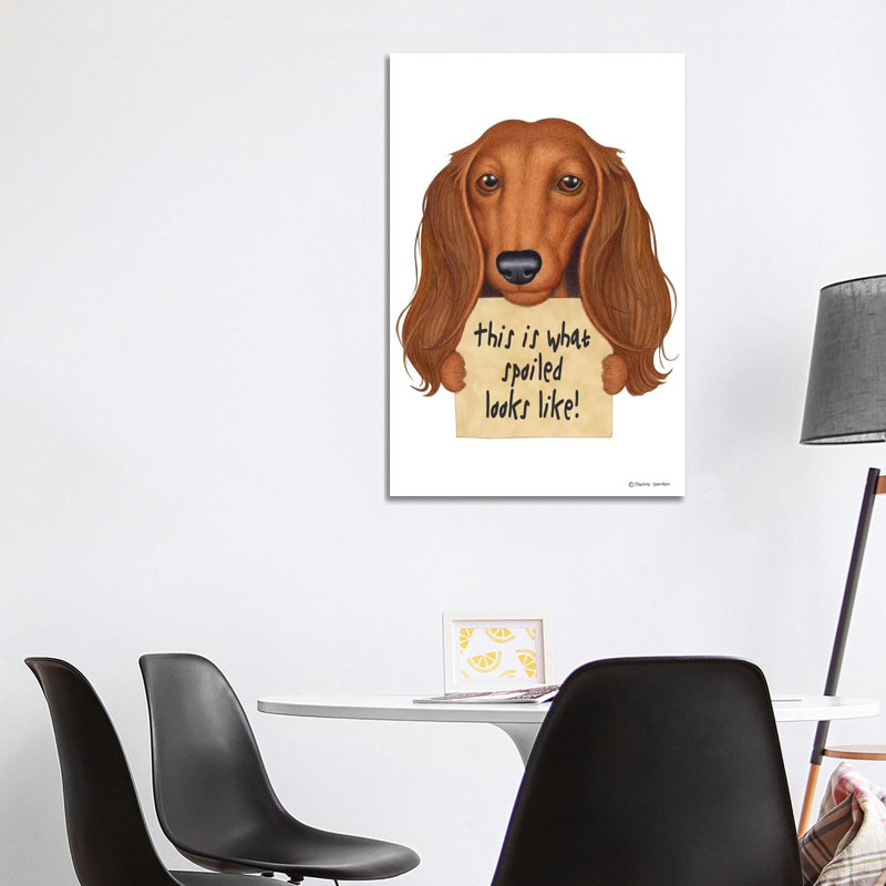 Dachshund Spoiled Looks Like by Danny Gordon - Wrapped Canvas Print, 66.04 cm H x 45.72 cm W