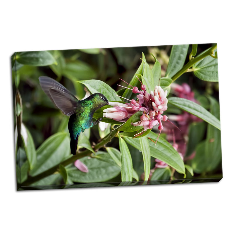 «In Flight I», reproduction de photo sur toile tendue