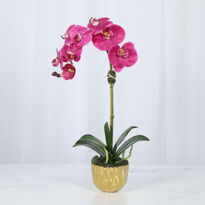 Silk Orchid Plant In White Vase, Gold, Pink