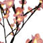Bonsaïs illuminés et branches-22104822