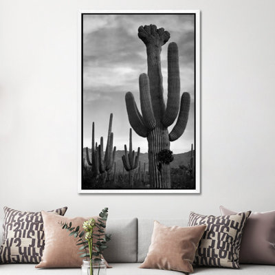Saguaros, Saguaro National Monument by Ansel Adams - Print on Canvas