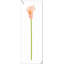 Arrangement Lillies-623490078-623490075