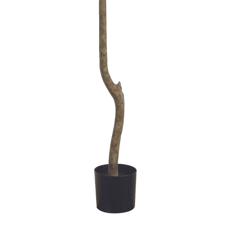 Fiddle Leaf Fig Tree