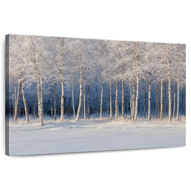Alvord Birch Trees In Winter, 24" H x 36" W