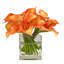 TRI CALLA IN CUBE