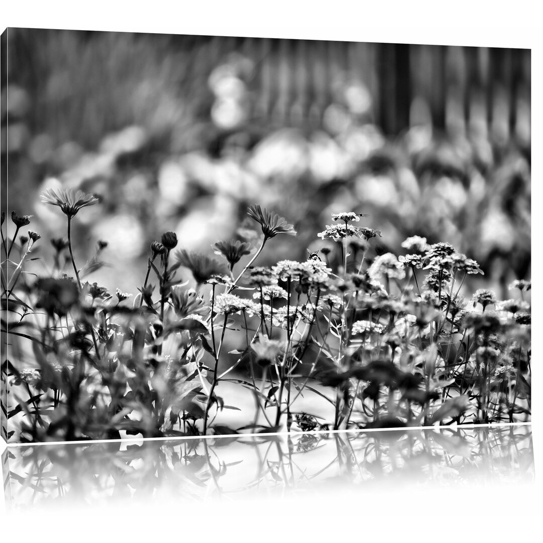 Leinwandbild Blumenwiese in Monochrom