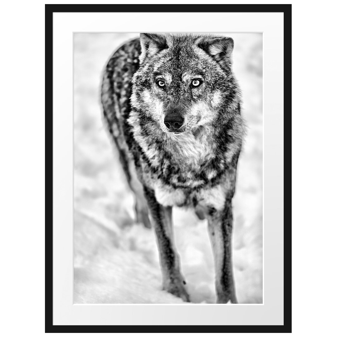 Gerahmtes Poster Wolf in Schneelandschaft