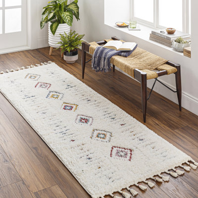 Isaiah Shag Area Rug