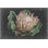 Dramatic Protea I
