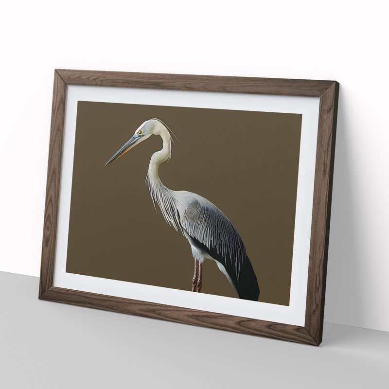 A Head Turning Heron Bird - Single Picture Frame Print, 34cm H x 46cm W x 2cm D, Walnut