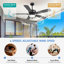 Ventilateur de plafond imperméable intérieur / extérieur de 52 po avec lumières et télécommande