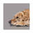 Golden Retriever by Vicki Newton - Wrapped Canvas Painting-637021427