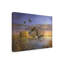Art sur toile Medana Gabbard-2141125005