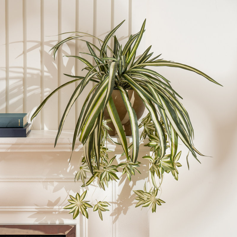 36cm Faux Spider Plant in Rustic Pot