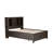 Lexee Bookcase Bed
