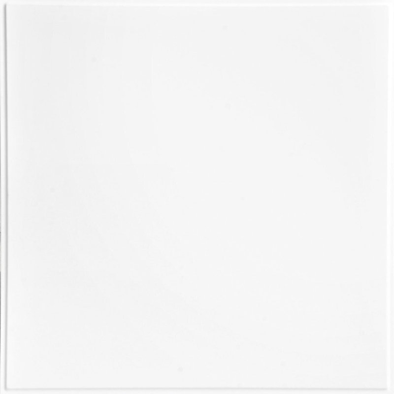 Carreau de plafond en PVC 2 pi x 2 pi blanc