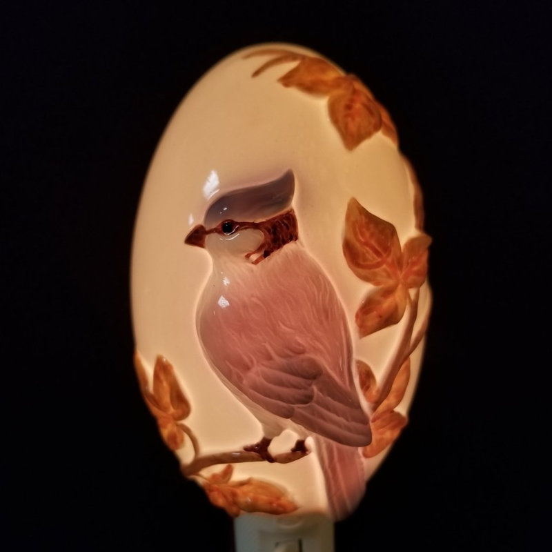 Jay on Branch Night Light