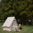 Camping Tents-111122210